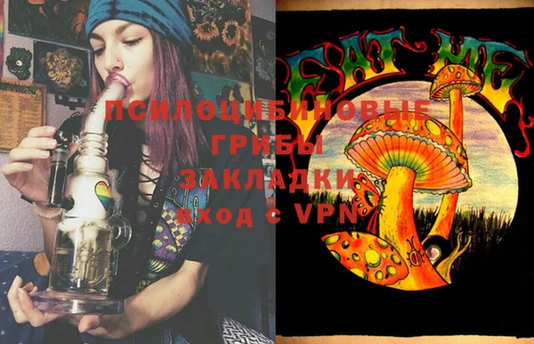 сатива Березники